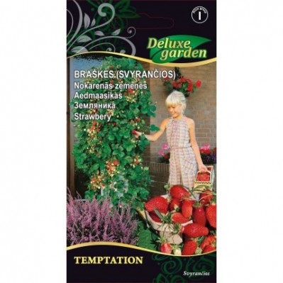 Braškės svyrančios Temptation 0,05 g